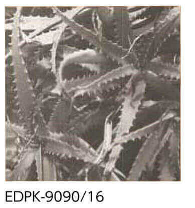 EDPK-9090/16