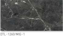 DTL-1260/MIG-1