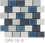 ERV-10