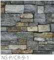 NS-P/CR-9-1