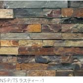 NS-P/TS-ラスティー-1