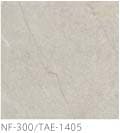 NF-300/TAE-1405