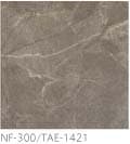 NF-300/TAE-1421