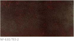 NT-630/TES-2