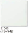 B1003