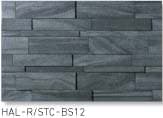 HAL-R/STC-BS12