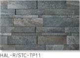 HAL-R/STC-TP11
