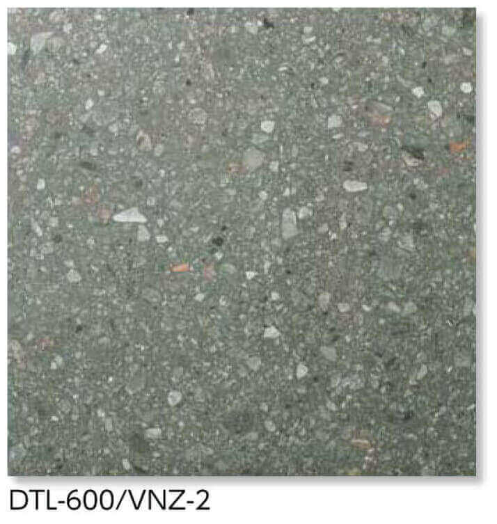 DTL-600/VNZ-2