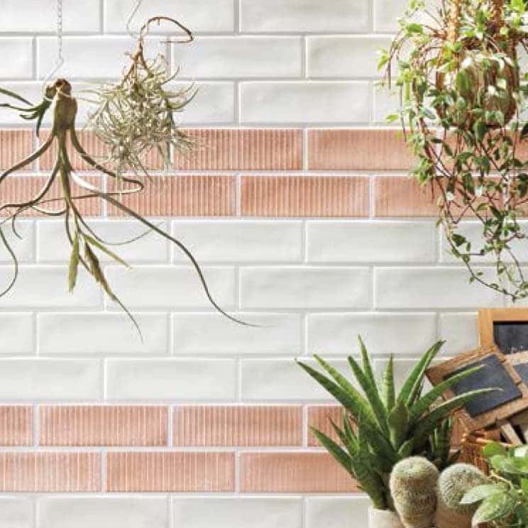 LIXILカームネス通販へ