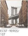 ECSF-9090/107