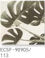 ECSF-9090/113