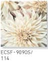 ECSF-9090/114