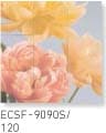 ECSF-9090/120