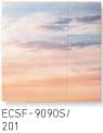 ECSF-9090/201