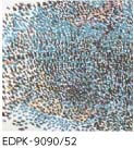 EDPK-9090/52