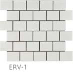 ERV-1