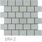 ERV-2