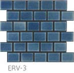 ERV-3