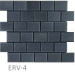 ERV-4