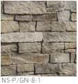 NS-P/GN-8-1
