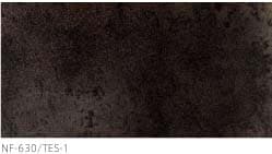 NT-630/TES-1