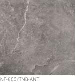 NF-600/TNB-ANT