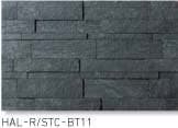 HAL-R/STC-BT11